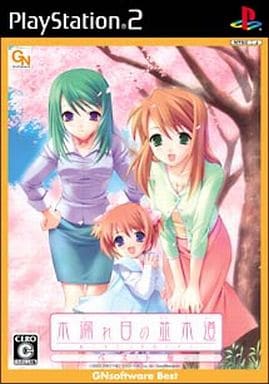 木漏れ日の並木道 ～移り変わる季節の中で～