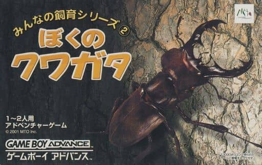 みんなの飼育シリーズ(2) ぼくのクワガタ