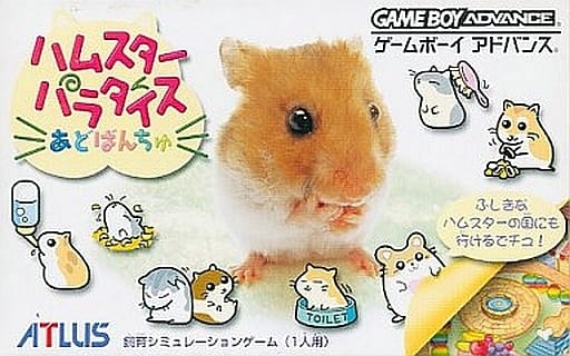 ハムスターパラダイスあどばんちゅ