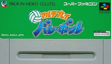 マルチプレイバレーボール