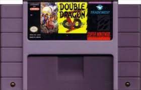 Double Dragon V：The Shadow Falls