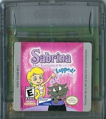 Sabrina the Animated Series_ Zapped!