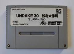 UNDAKE30 鮫亀大作戦マリオバージョン