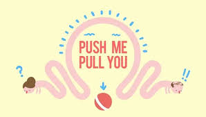 Push Me Pull You