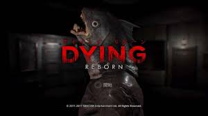 DYING： Reborn + DYING： Reborn VR バンドル