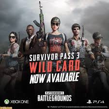 PUBG-ワイルドカードエディション