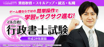 マル合格! 行政書士試験 平成29年度版