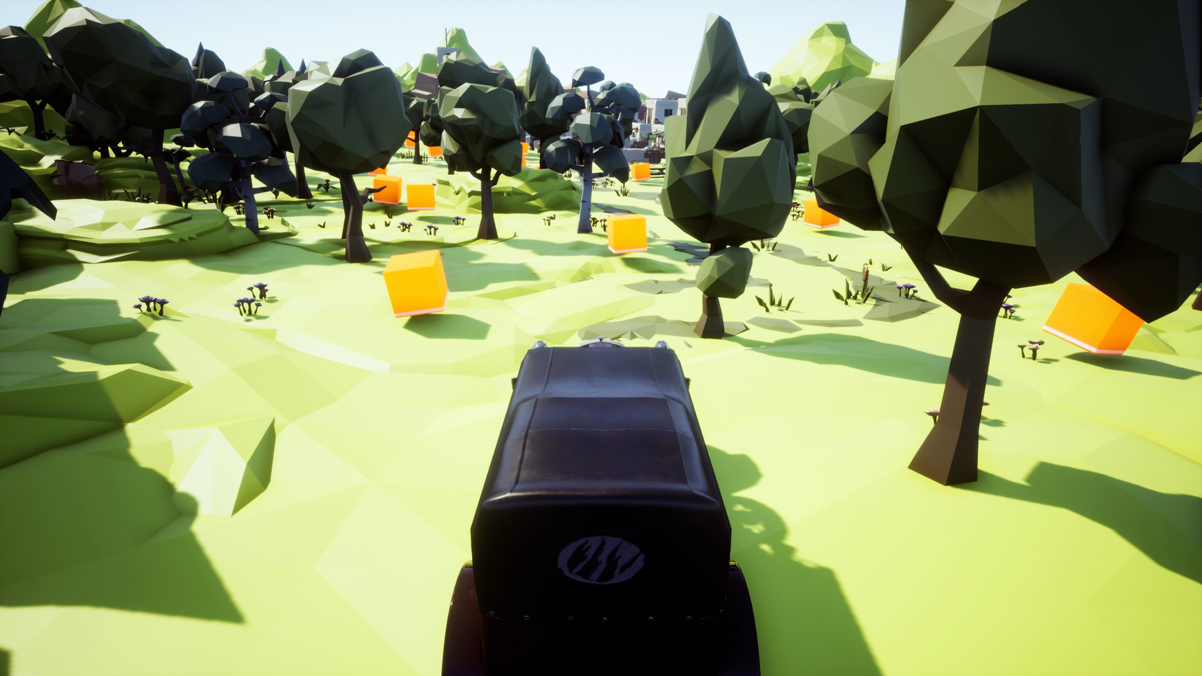 ルーシッド・サイクル