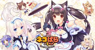 ネコぱらVol.1 ソレイユ開店しました!