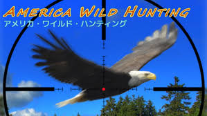 America Wild Hunting