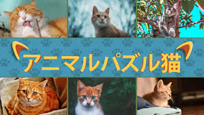 Animal Puzzle Cats アニマルパズル 猫