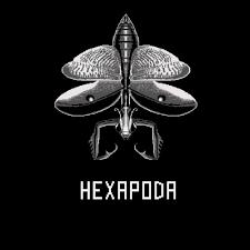 HEXAPODA