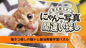 脳を鍛える！ にゃんこ写真で間違い探し－猫ネコ癒しの脳トレ脳活教養学習パズル－