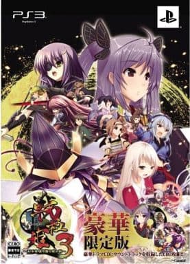 戦極姫3 ～天下を切り裂く光と影～