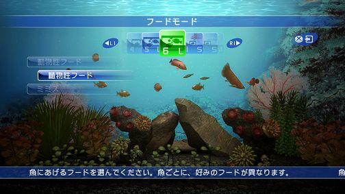ブルーオアシス ～魚の癒し空間～