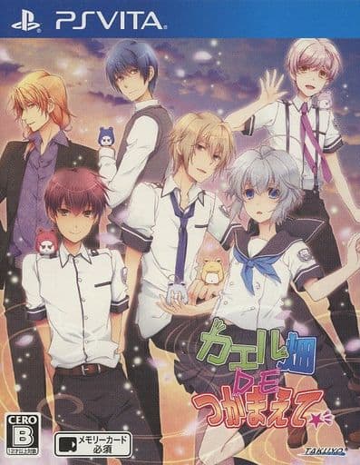 カエル畑DEつかまえて☆彡