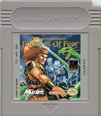 Wizards &Warriors X： The Fortress of Fear